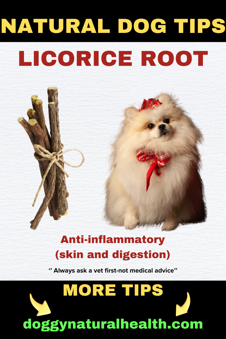 Licorice Root for a Natural Anti-inflammatory for Dogs